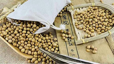 康之豆：黄豆的食疗作用，你知道具体是哪些吗？
