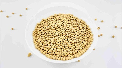 大豆中的优质蛋白