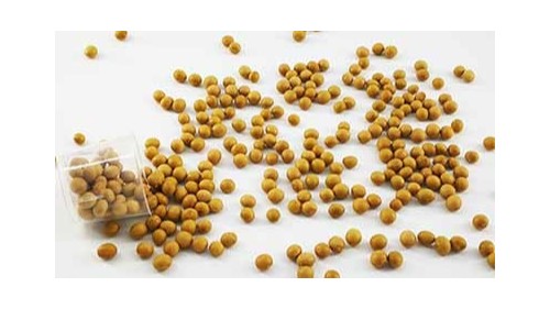 康之豆大豆脱毒熟化技术为痛风饮食提供更多可能