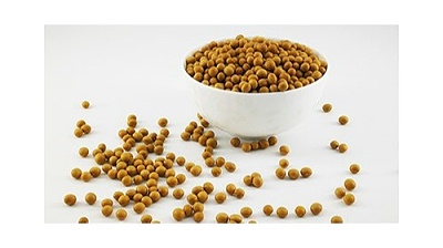 康之豆为你解析食堂用豆浆原料批发的优质选择