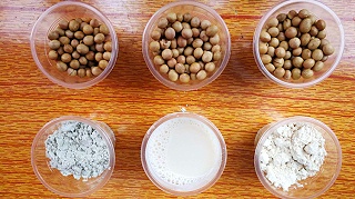 做豆浆豆 为什么要选择康之豆