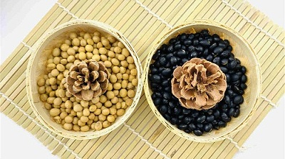 康之豆小科普之大豆蛋白和大豆卵磷脂的益处