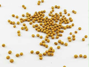 康之豆小调查：中、美、巴西三国大豆的差异