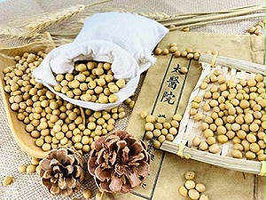 康之豆公司：中美贸易战爆发，我们为国产大豆行业献力